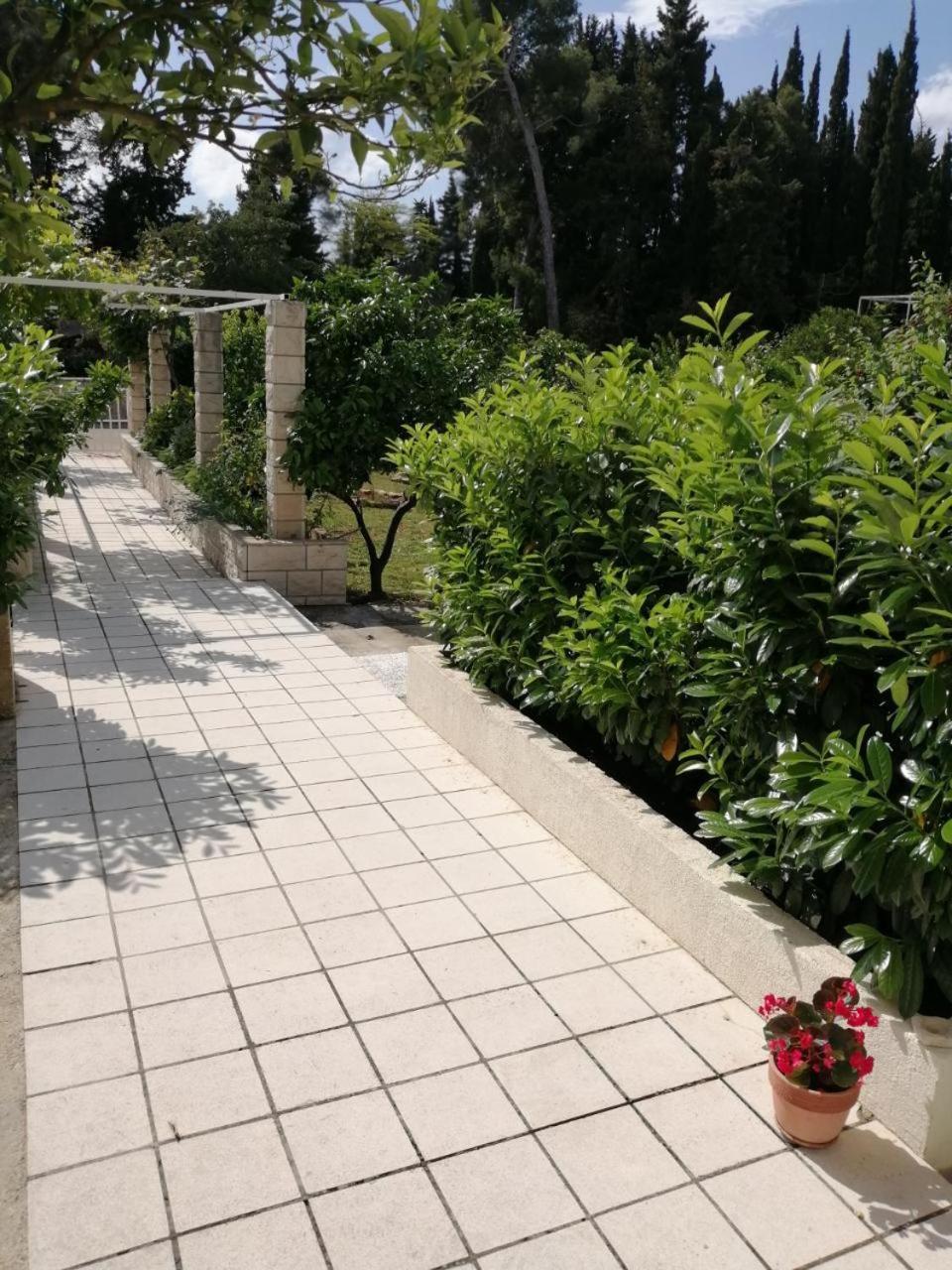 Apartman Lucija Korčula Esterno foto