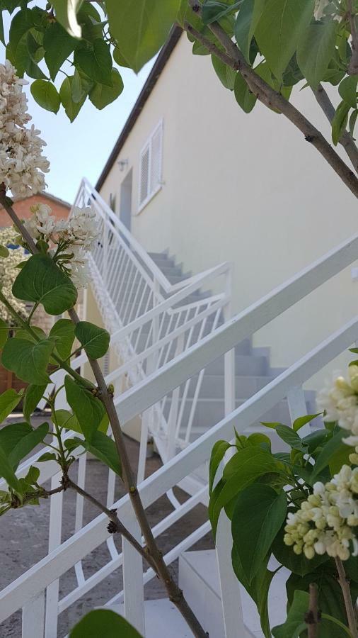 Apartman Lucija Korčula Esterno foto