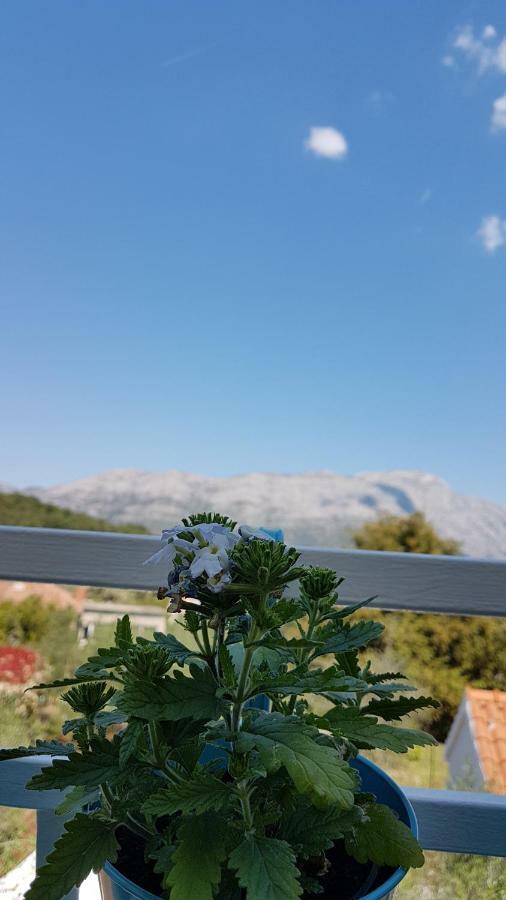 Apartman Lucija Korčula Esterno foto