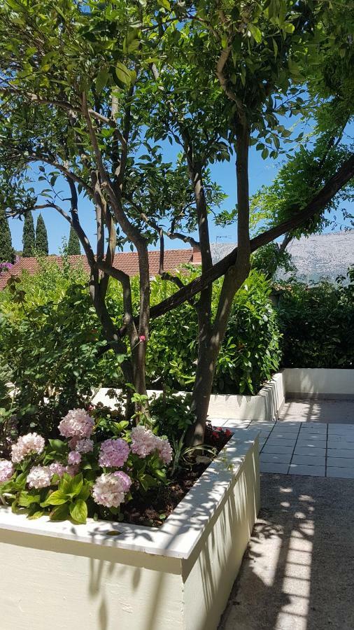 Apartman Lucija Korčula Esterno foto